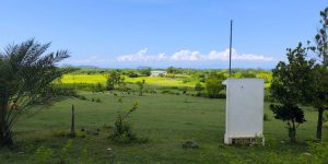 Spoliation foncière à Nosy Be : plus de 416 hectares de terrains de la SIRAMA S.A. au cœur d’une vaste affaire judiciaire